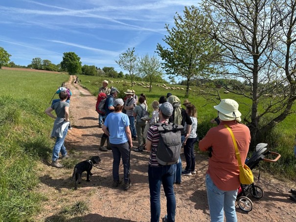 Wanderung entlang der Illauen